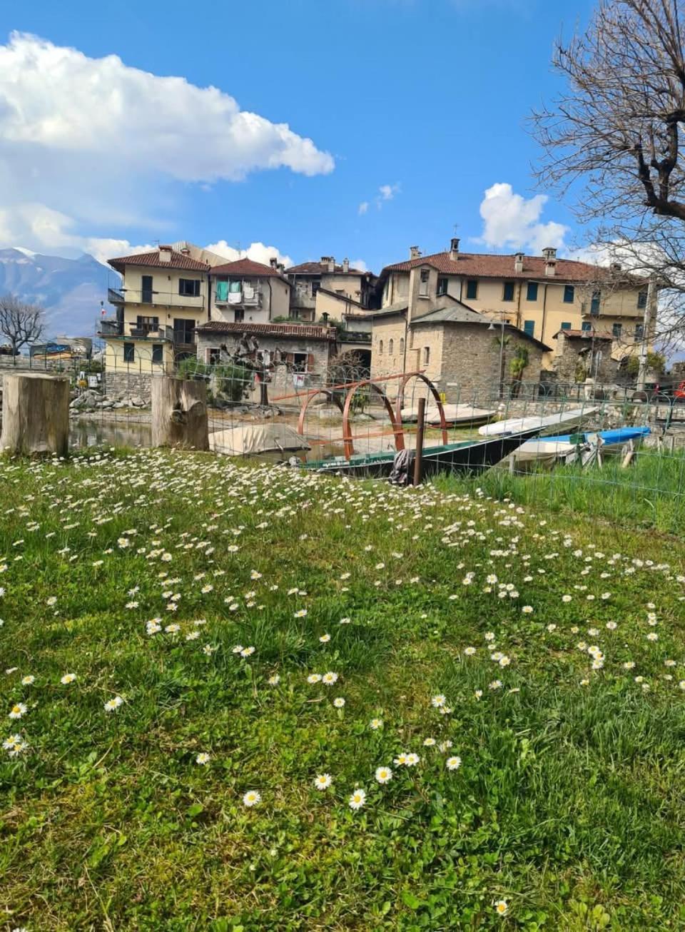 Laura'S Cottage With Lake View, Detached, 5 Kilometers From Varenna リエルナ エクステリア 写真